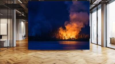 Forest fire near Interlaken, Twin Lakes, Colorado.  Wall mural