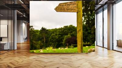 wooden public footpath sign in field next to a wall Wall mural