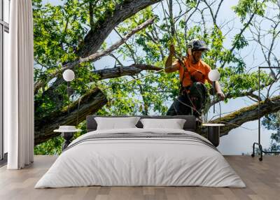 Worker in orange shirt in tree cutting off dead branches Wall mural