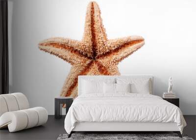 Starfish seastar star fish isolated transparent background photo PNG file Wall mural