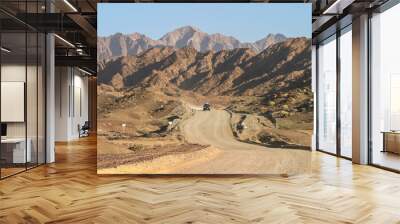 Road Through the Hajar Mountains Wall mural