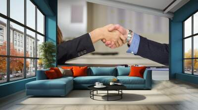 Businessman And Businesswoman Shaking Hands In Office Wall mural