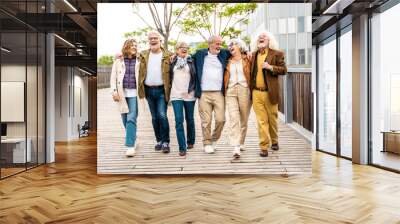 Happy group of senior people walking outdoors - Laughing aged friends having fun on city street Wall mural