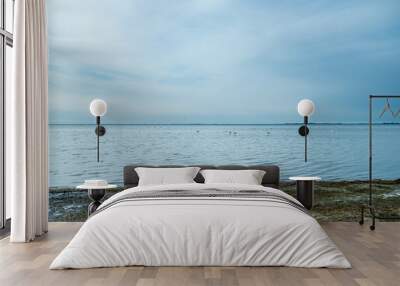 landscape of the Camargue national park in the south of France with flamingos and cloudy blue sky and calm sea Wall mural