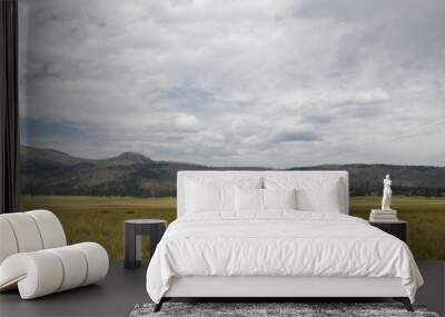 New Mexico, Caldera Valles.
Panoramic view of meadow at Valles Caldera near Los Alamos, New Mexico. Wall mural