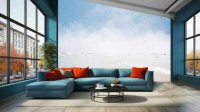 Foggy Seascape Wall mural