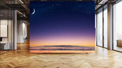 Island Moon Wall mural