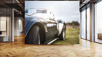 Beautiful classic vintage sport car Wall mural