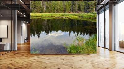 Forest reflected in water at Big Sandy Campground near Boulder, Wyoming, USA Wall mural