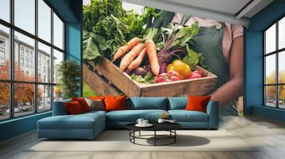 Person, vegetables box and agriculture, sustainability or farming for supply chain or agro business. Farmer, seller or supplier with harvest and gardening for NGO, nonprofit and food or groceries Wall mural