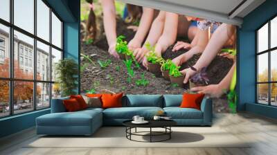 Children's hands planting young tree on black soil together as the world's concept of rescue Wall mural