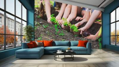 Children's hands planting young tree on black soil together as the world's concept of rescue Wall mural