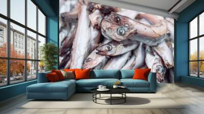 rotten fish on the market. Wall mural