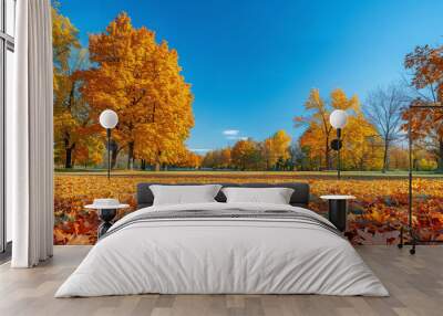 Autumn Splendor with Vivid Trees and Blue Sky   Wall mural