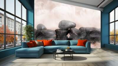 Group of black stones in warm water with steam background Wall mural