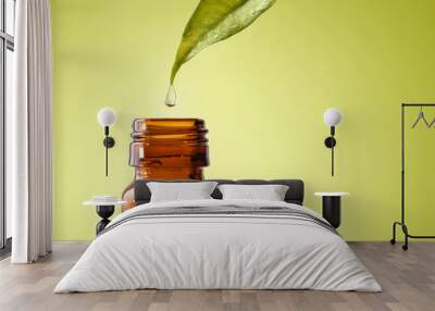 Leaf and drop of natural medicine falling into jar isolated Wall mural