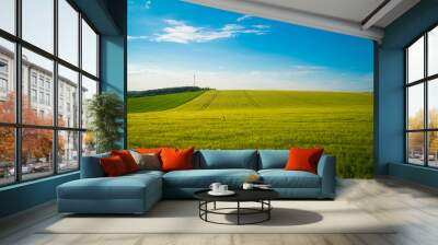 Green and yellow wheat field in spring season under blue sky, wide photo. With copy space Wall mural