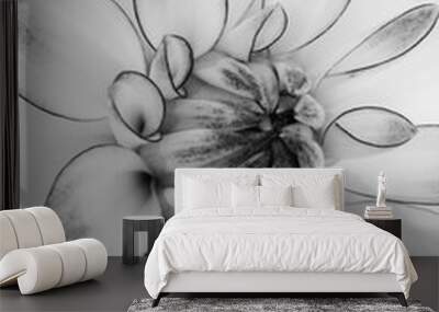 Black and white Dahlia Wall mural