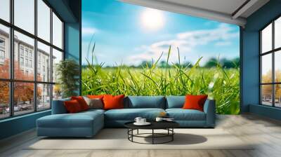 Beautiful panoramic natural landscape of a green field with grass against a blue sky with sun. Spring summer blurred background Wall mural