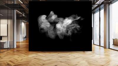 white smoke steam spray, and abstract vapor water isolated on a black background. concept of texture cold mist or hot vapor, fog effect, and cloud for design air pollution, element smog	
 Wall mural