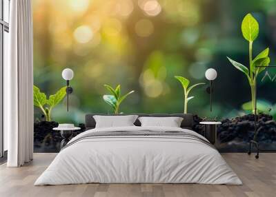 A series of young plants are growing in the dirt Wall mural