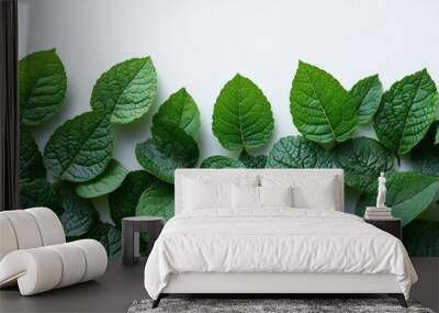 A collection of fresh green leaves arranged on a white background. Wall mural