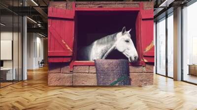 white horse in the stable. vintage style Wall mural