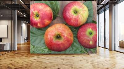 Apple Idared Wall mural