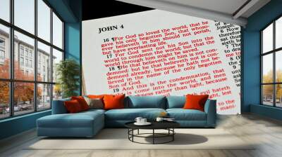 John 3:16 Wall mural