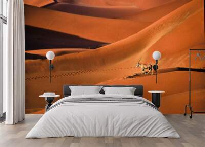 Oryx gazella walks over beautiful red sand dunes in Namib desert Wall mural