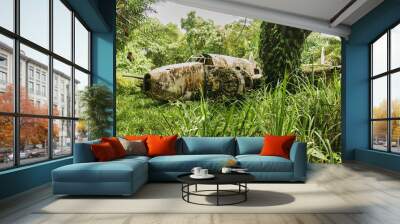 wreck of american bomber crashed in jungle vegetation during world war II Wall mural