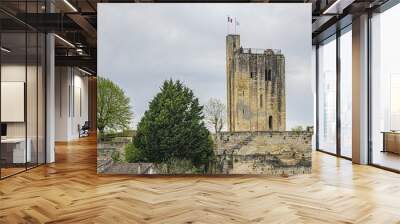 View of La Tour du Roy (King's tower) in Saint-Emilion, Bordeaux wine region. Rectangular 13C King's Tower perched on a rocky base. Saint-Emilion, Aquitaine Region, Gironde Department, France, Europe. Wall mural