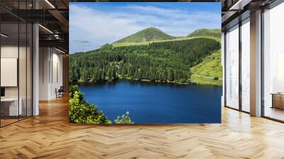 view of lake guery. lake guery is a mountain lake of volcanic origin located in monts dore, in the h Wall mural