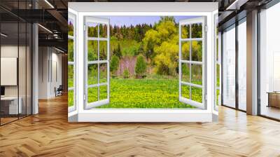 nature landscape with through a window with curtains Wall mural