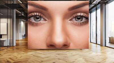 Close up eyes with professional make up Wall mural