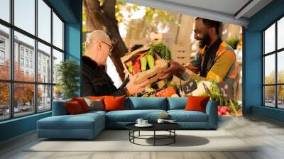 Elderly man buying various seasonal fruits and vegetables at farmers market during autumn. Smiling African American vendor offering homegrown organic sustainable produce to senior customer. Wall mural