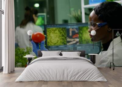 Scientist researcher woman checking tomato injected with pesticides for gmo test, in background her coleglegue typing chemical test Biochemist working in biotechnology organic laboratory Wall mural