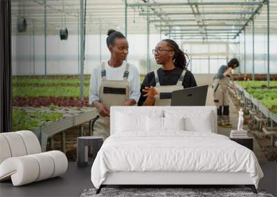 Two african american women working in modern greenhouse holding laptop walking and talking about organic vegetables production. Lettuce farm workers discussing about harvesting plants for delivery. Wall mural