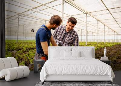 Two researchers monitor the condition of salad plants Wall mural