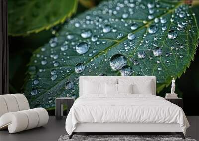 water drops on leaf Wall mural