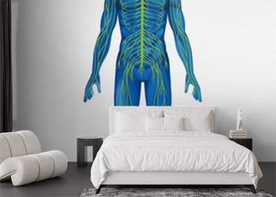 human body Wall mural