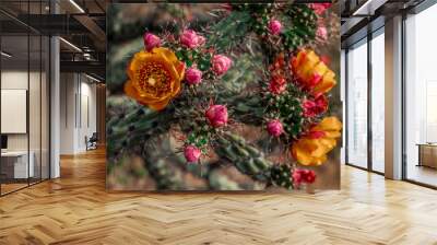 Yellow and orange cholla cactus flowers Wall mural