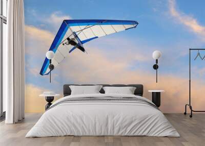 Hang glider fling over the ocean at sunset Wall mural