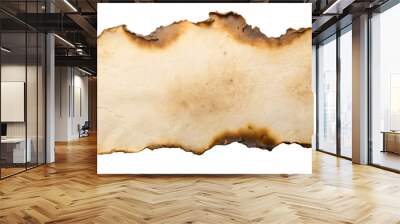 Burnt paper, isolated on transparent png background, Wall mural