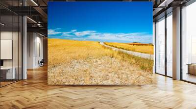 summer colors in Chianti in the province of Siena Wall mural