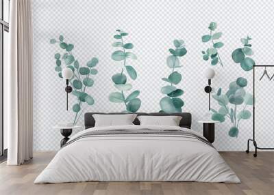 Eucalyptus leaves set isolated on transparent background  Wall mural