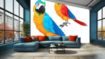 Funny parrots in two different colors Wall mural