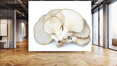 Mushroom isolated on white background Wall mural