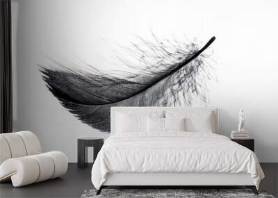 Single black floating feather on white background. Wall mural