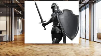 knight in armor with sword on white background Wall mural